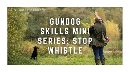 Gundog skills mini series: Stop whistle