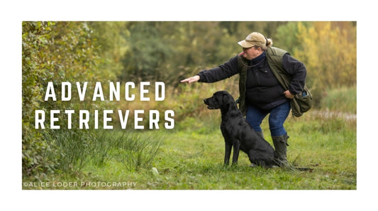 Advanced Retriever Classes Grades 4/5